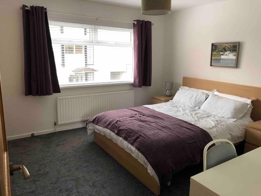 Revamped Holywood Town Centre House Appartement Buitenkant foto