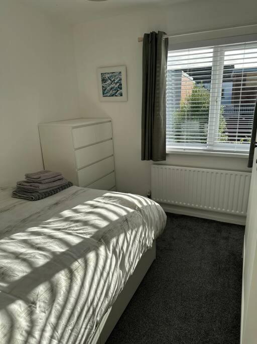 Revamped Holywood Town Centre House Appartement Buitenkant foto